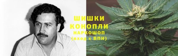 сатива Балабаново