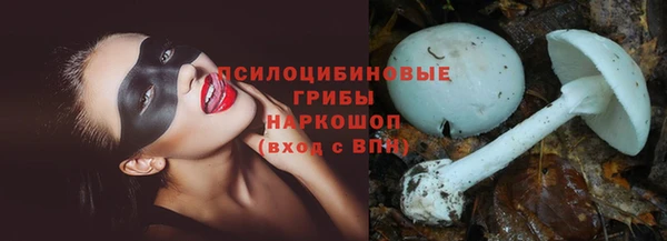 сатива Балабаново