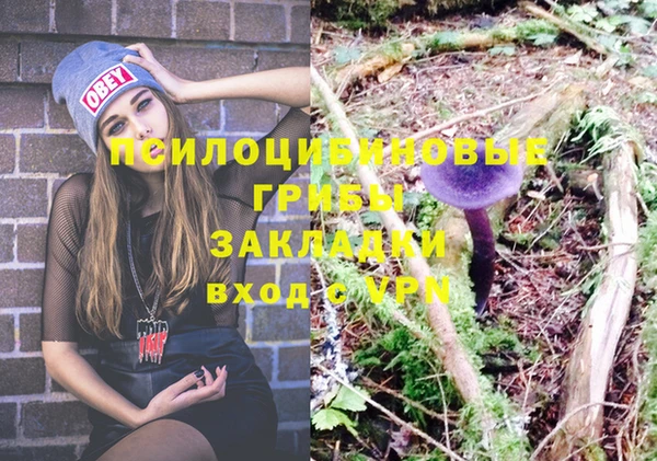 бошки Баксан