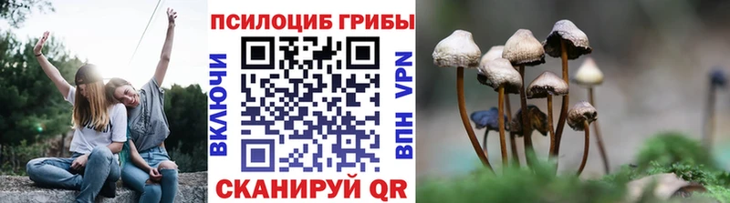 что такое наркотик  блэк спрут сайт  Псилоцибиновые грибы Psilocybe  Красноуральск 